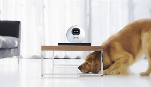 語音助手 智能家居新終端引領(lǐng)未來生活變革