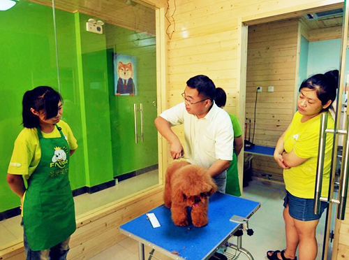 廣州寵物店加盟指南 精選可靠的寵物服務(wù)品牌